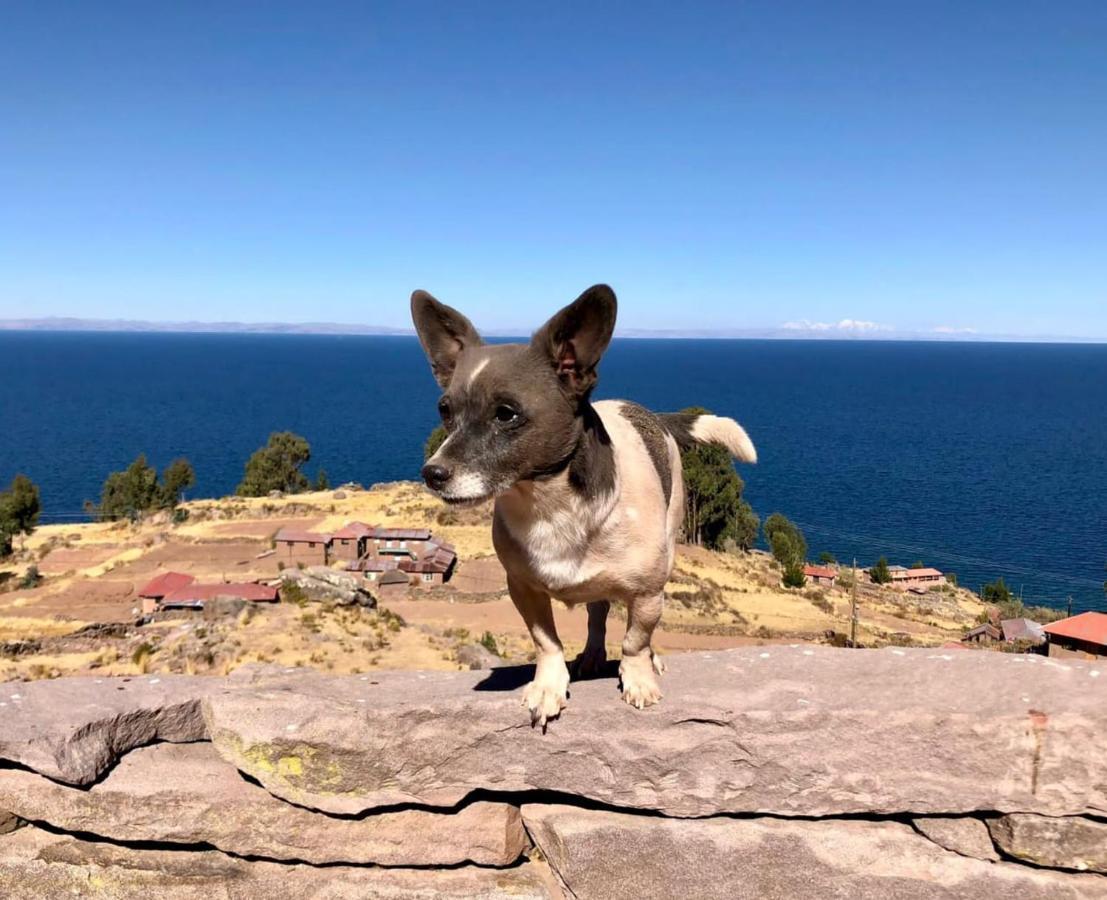 Taquile Lodge - Un Lugar De Ensueno Huillanopampa Esterno foto